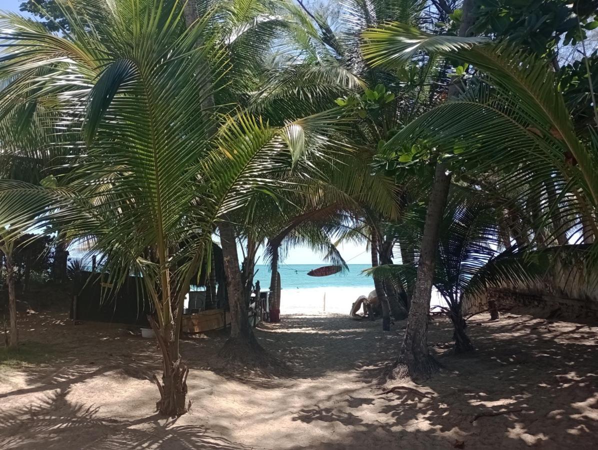 Porto De Galinhas Lindo Ap 2 Q 2 Banh 40 M Da Praia Leilighet Eksteriør bilde